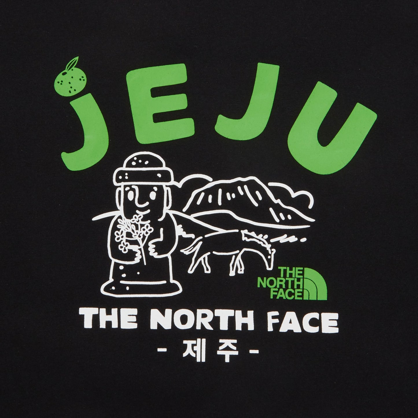 T️he North Face北臉男女款 濟州版 短袖T恤
