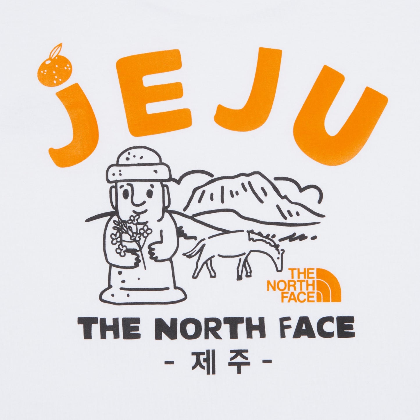 T️he North Face北臉男女款 濟州版 短袖T恤