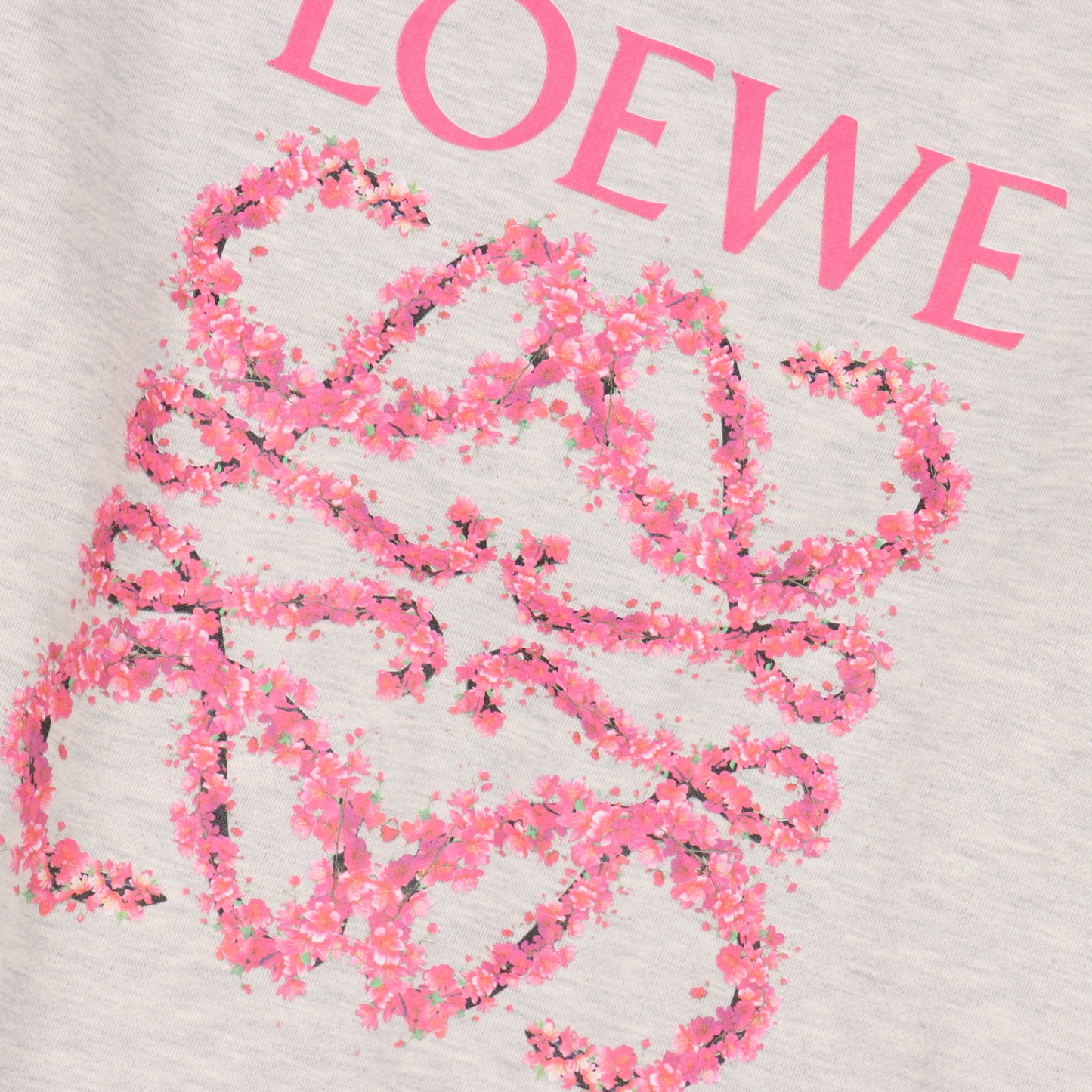 Loewe 刺繡 大學T