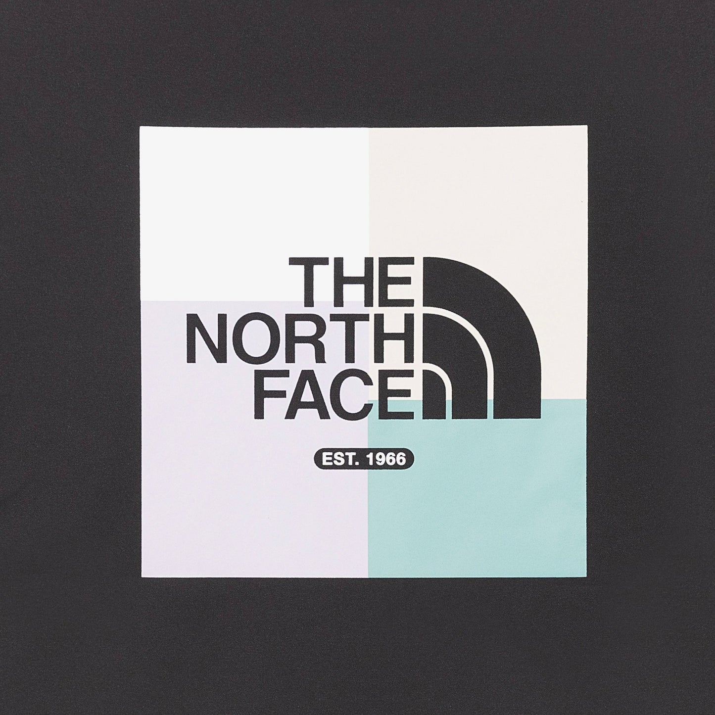 T️he North Face北臉男女款 COLOR PEAK EX 短袖