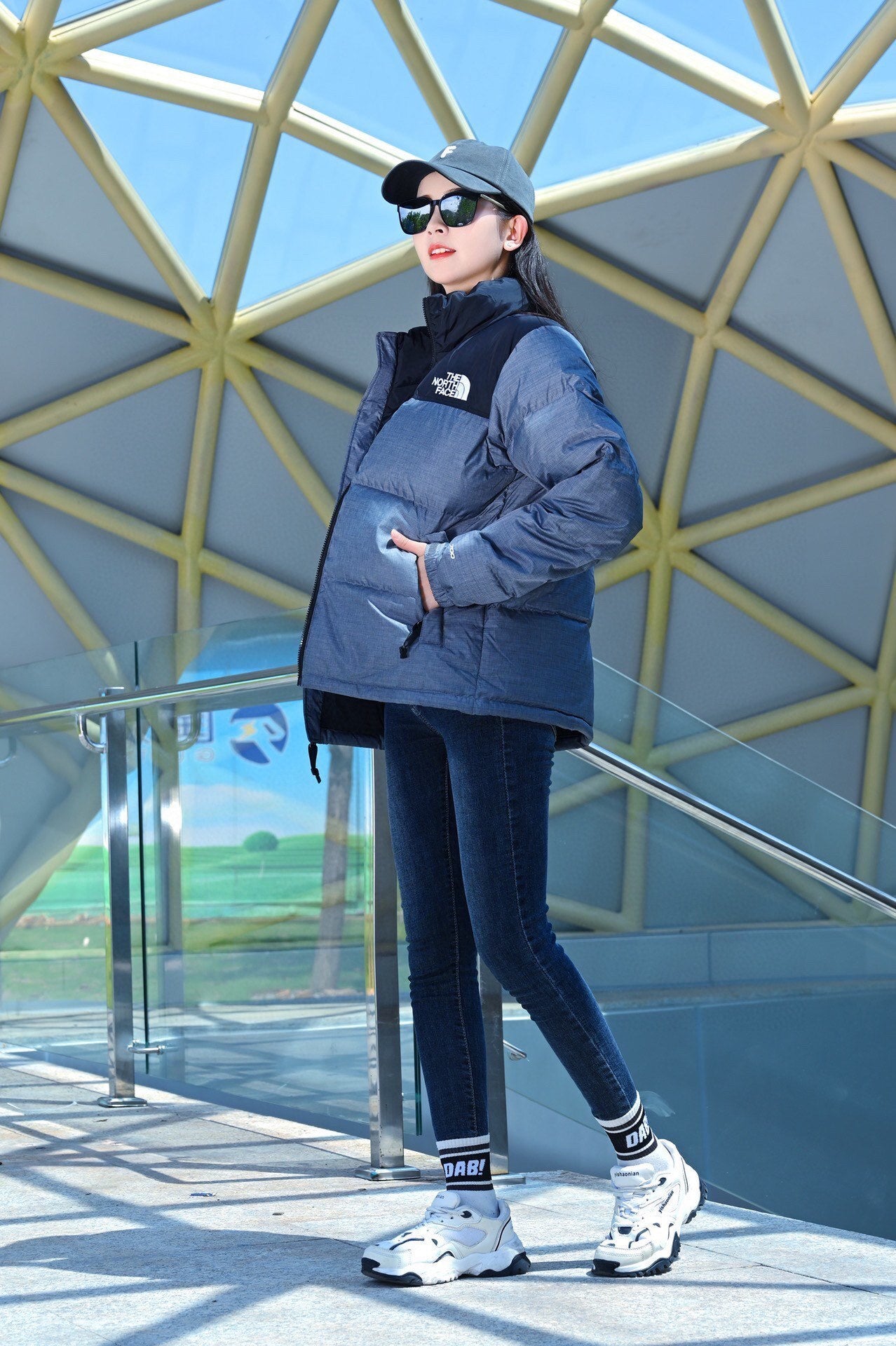 【預購5-7天發貨】THE NORTH FACE 1996 羽絨外套 銀色