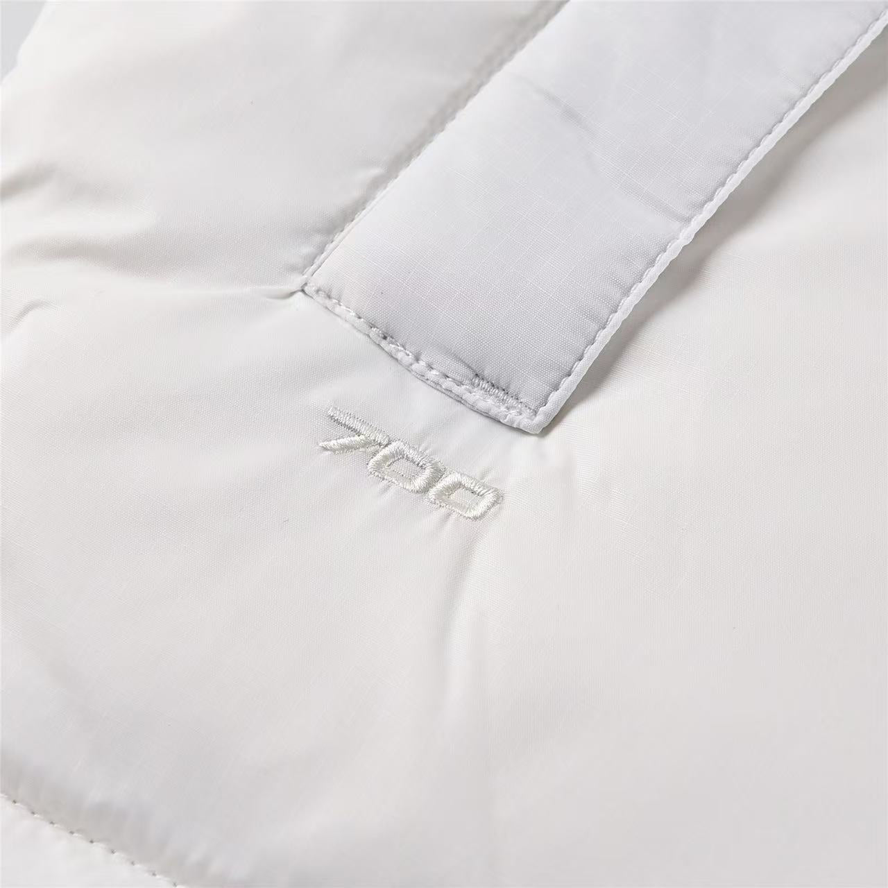 【預購5-7天發貨】THE NORTH FACE 1996 羽絨背心 白色