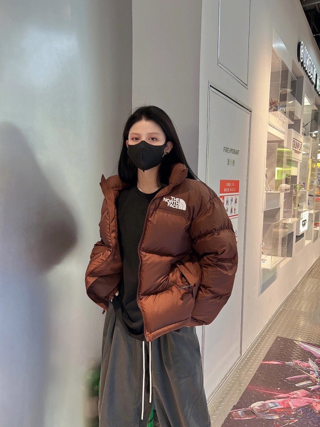 【預購5-7天發貨】THE NORTH FACE 1996 羽絨外套 酒紅