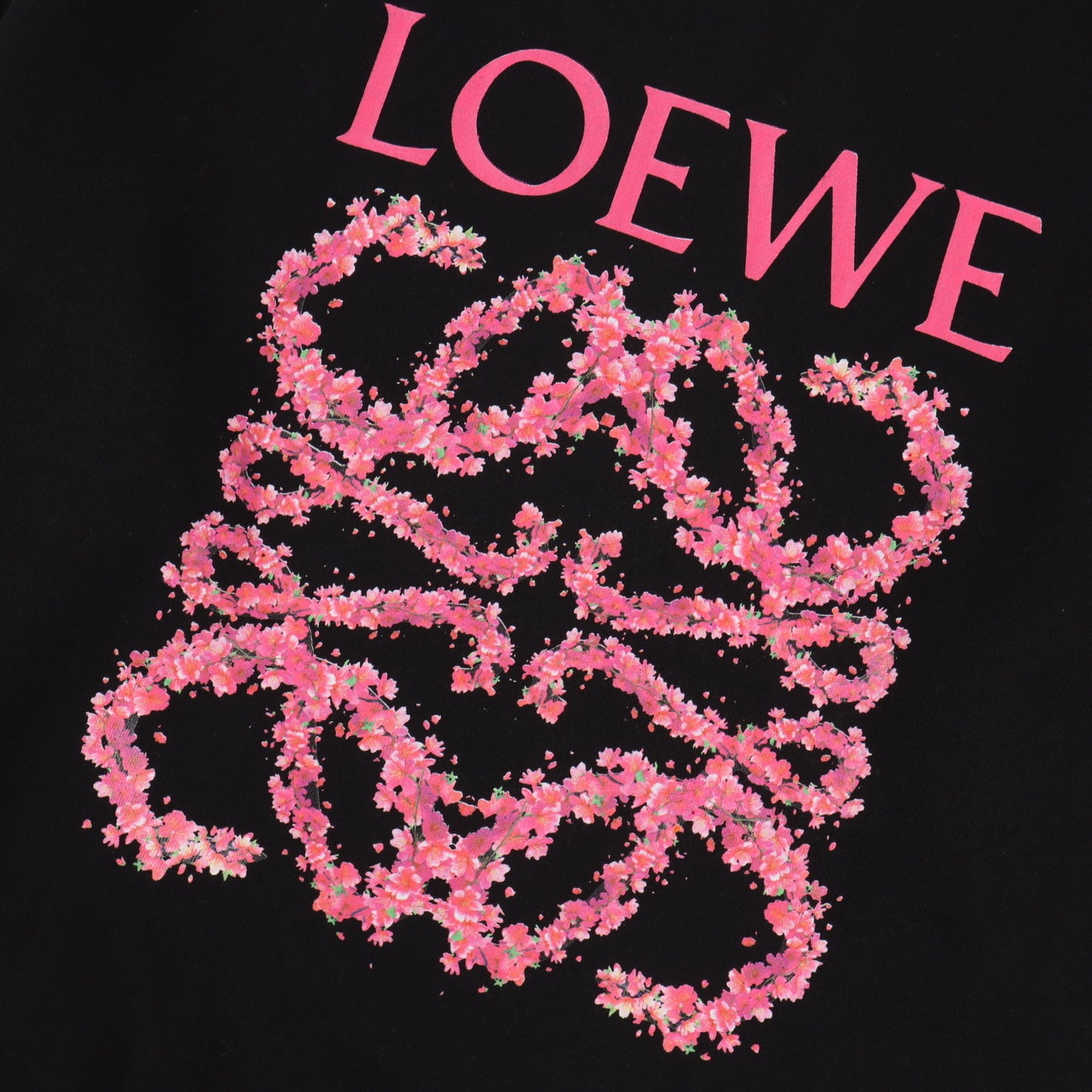 Loewe 刺繡 大學T