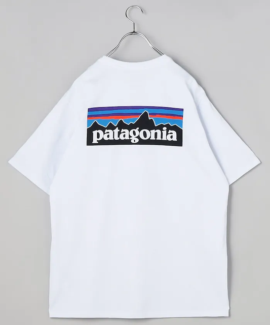 Patagonia 大背LOGO Tee 白色