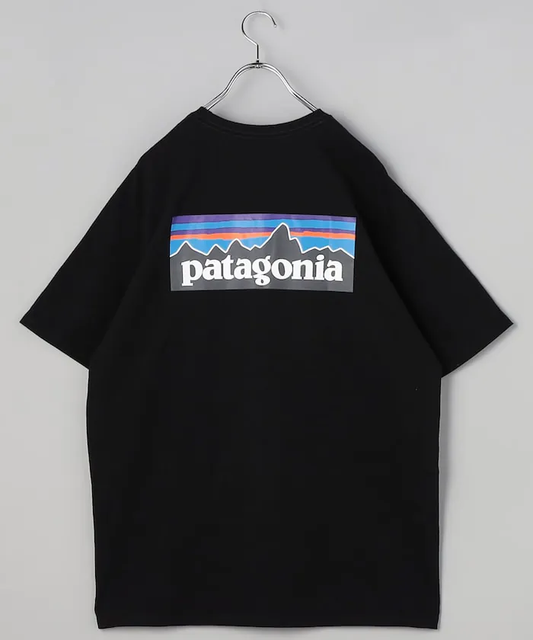 Patagonia 大背LOGO Tee 黑色